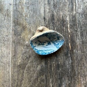 Blue and Tan Seashell Trinket Dish